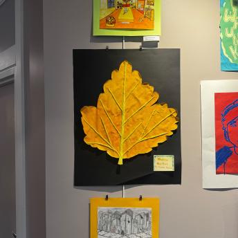 Splash art in the Levenson Room