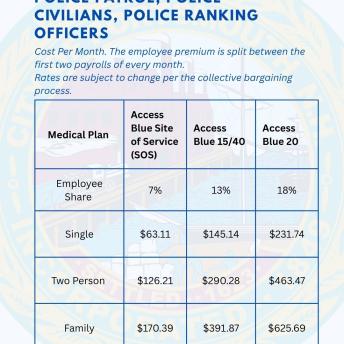 Insurance Premiums by level. 
