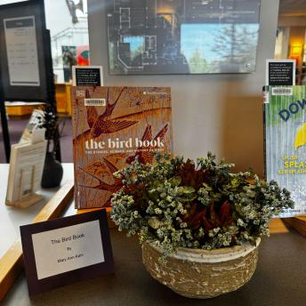 The Bird Book by Mary Ann Kahl