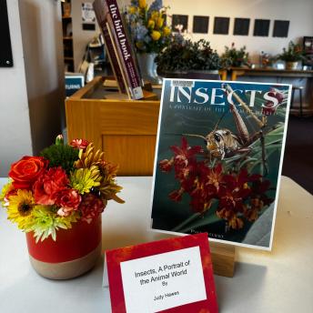Insects, A Portrait of the Animal World by Judy Hawes