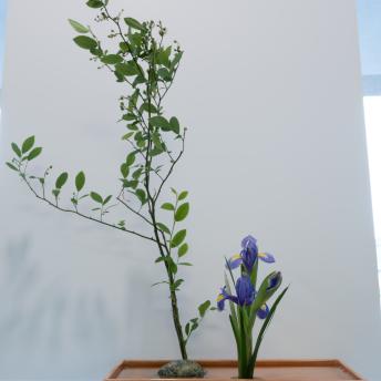Green leafy flower and a purple short flower