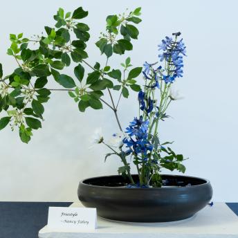 Green leafy flower with blue and white flowers on a round, short vase