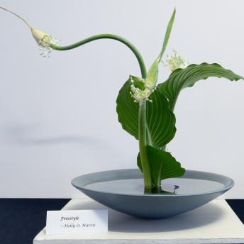 Big, green leafy flower on a round, short vase