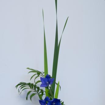 Tall green leaves sticking up in air, three short purple flowers in a white round vase