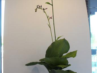 Ikebana arrangement
