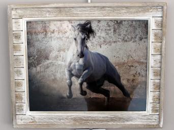 Lusitane Stallion at Librerty by Susan Correia, 3rd Place
