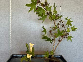 Futakabuike by Deena Peschke