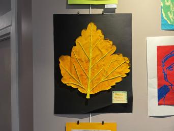 Splash art in the Levenson Room