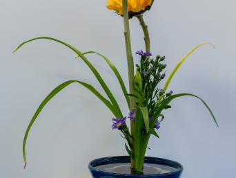Two yellow flowers in a black and blue vase
