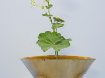Yellow and Pink flowers in a golden vase