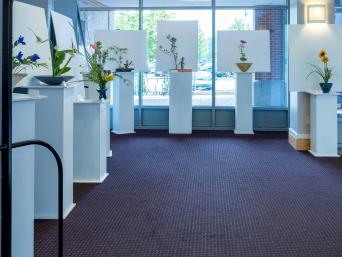 Group Picture of all flowers