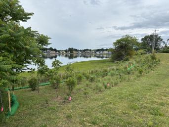 Wetland