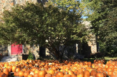 Fall