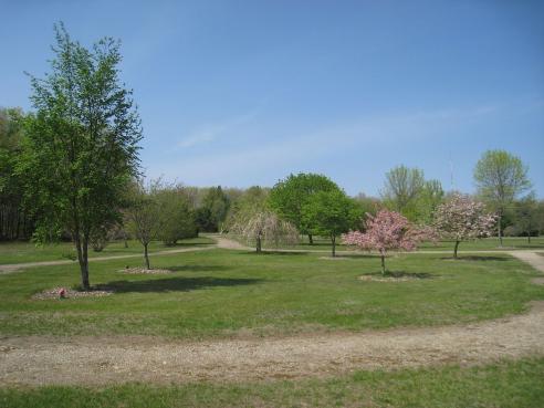 Urban Forestry Center