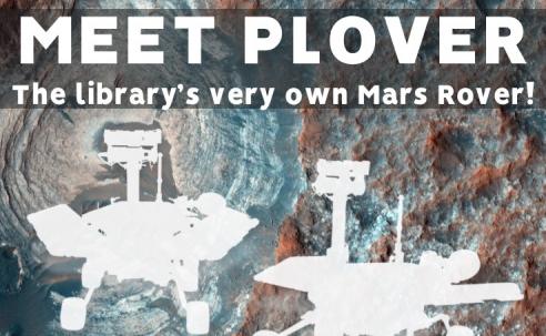 Meet Plover