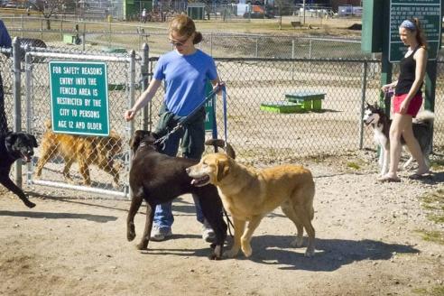 Portsmouth NH dog park