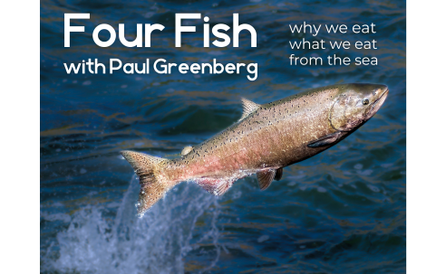 Fish jumping in the water. Four Fish Seafood and Sustainability with Paul Greenberg