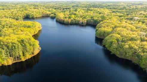 Fernald property on Bellamy Reservoir