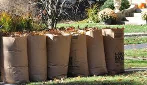 Leaves in yard waste collection bags.