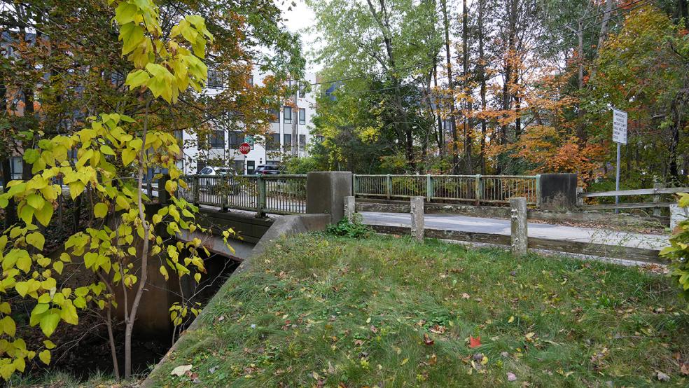 an image of the Cate Street Bridge with fall foliage an the background