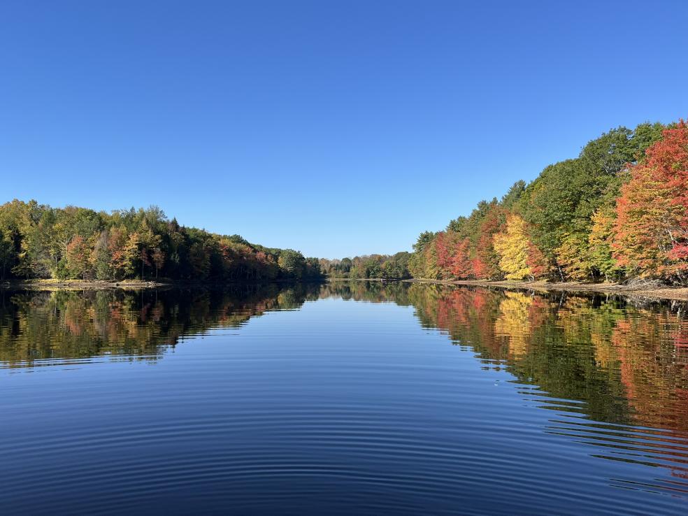 Bellamy Reservoir