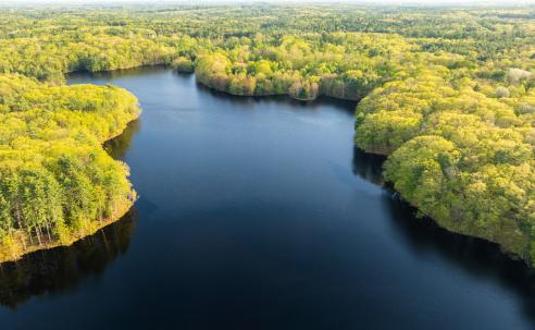 Fernald property on Bellamy Reservoir