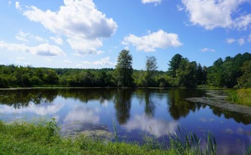 Bellamy Reservoir