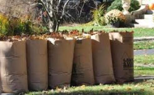 Leaves in yard waste collection bags.