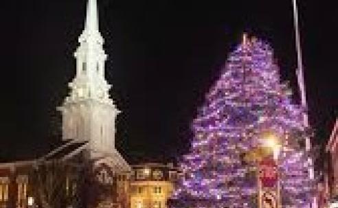 Holiday tree Portsmouth NH