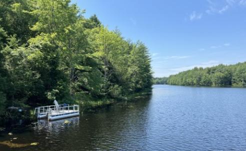 Bellamy Reservoir Cover Image