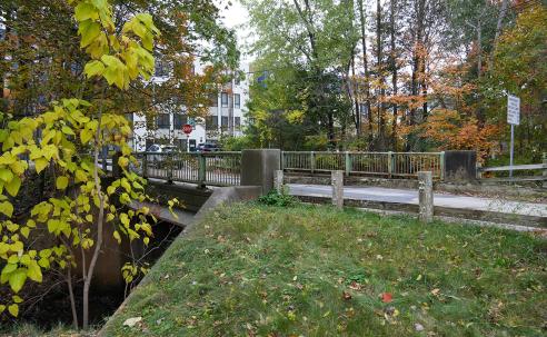 an image of the Cate Street Bridge with fall foliage an the background